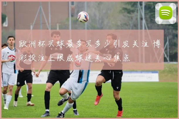 欧洲杯买球最多买多少引发关注 博彩投注上限成球迷关心焦点